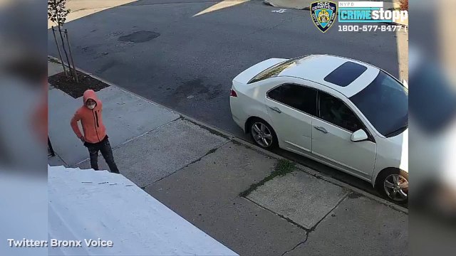 Cuatro personas heridas tras tiroteo a plena luz del día en Nueva York