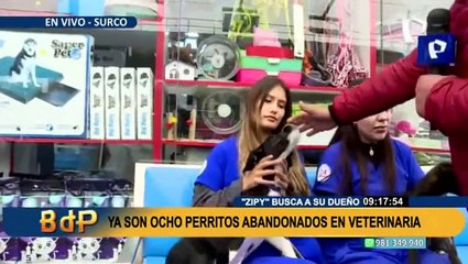 Lo dejaron a su suerte: abandonan a perrito cocker en veterinaria de Surco