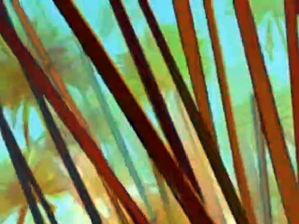 Papyrus Staffel 1 Folge 12 HD Deutsch