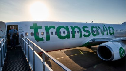 Transavia : dix heures de retard pour les passagers d'un vol Oran-Montpellier