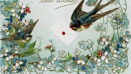 Puiu Nastase -aseara unde- ai fost ?