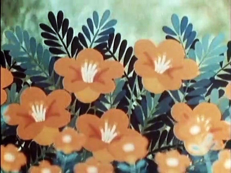 Tao Tao - Tiergeschichten aus aller Welt Staffel 1 Folge 6 HD Deutsch