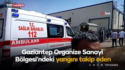Yangın bölgesinde canlı yayın yapan muhabiri darbettiler