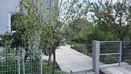 Yıl içerisinde ikinci kez çiçek açtı