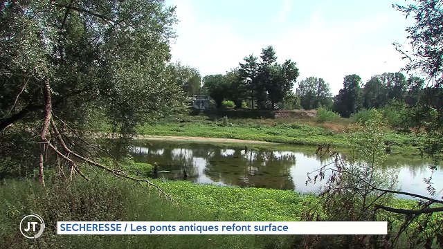 SÉCHERESSE / Les ponts antiques refont surface dans la Loire