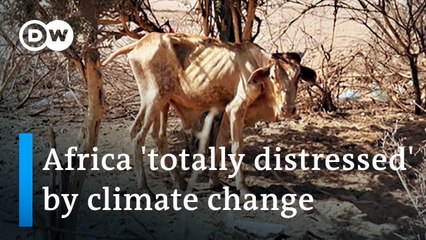 How the West shirks its responsibility for Africa's climate emergency