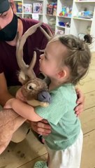 Toddler refuses to leave toy store without deer decor