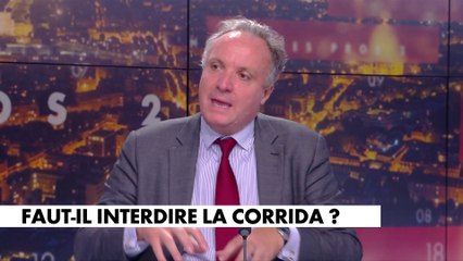 Jérôme Béglé : «Dans la nature, le lion mange l’antilope»