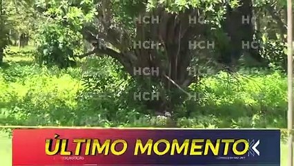 #HCHCholoma | Hallan muerto a joven en solar baldío de la col. Adeh