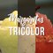 3 recetas de margaritas tricolor, ¡caseras y deliciosas! - Cocina Vital