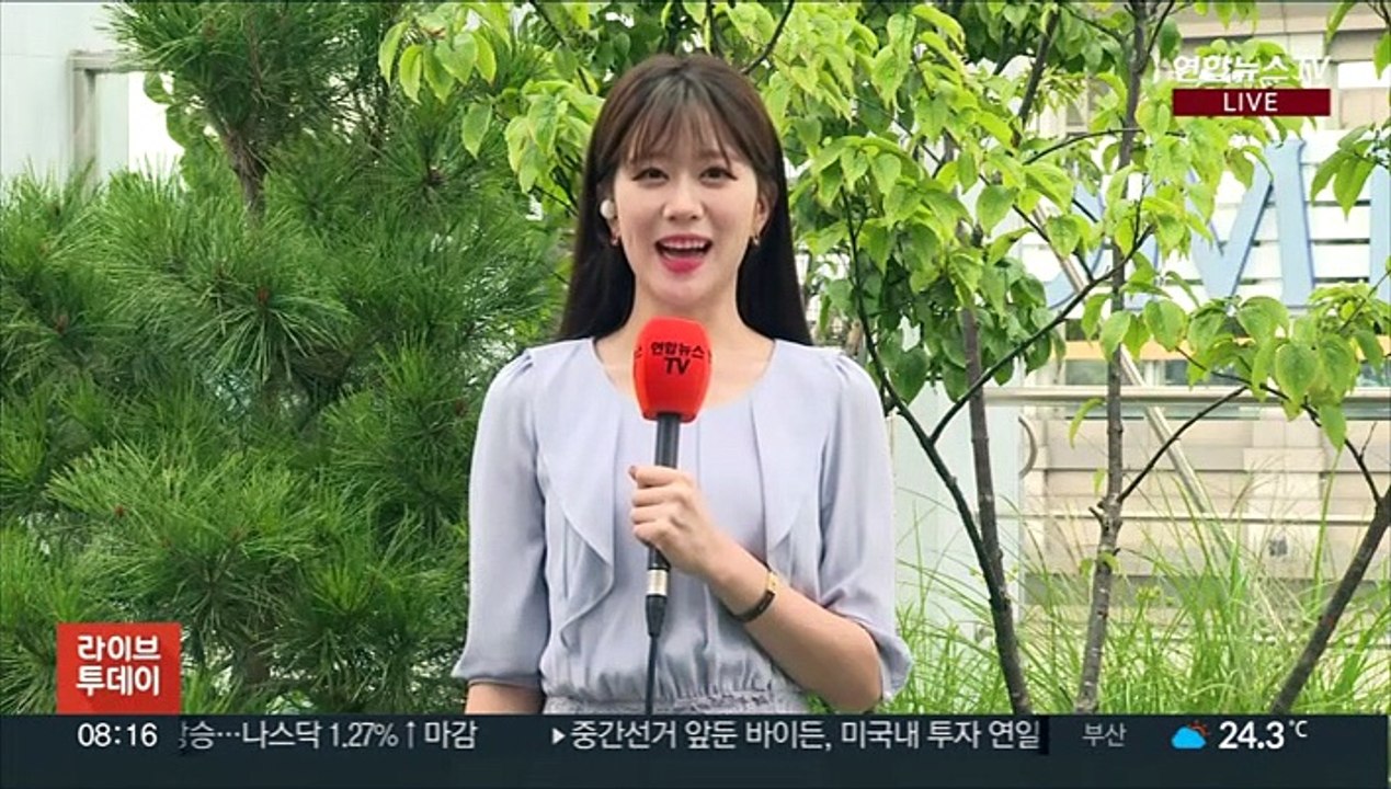 [날씨] 충청 이남 곳곳 비…제주 최대 120mm↑