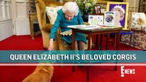 What Will Happen to Queen Elizabeth II's Beloved Corgis _ E! News