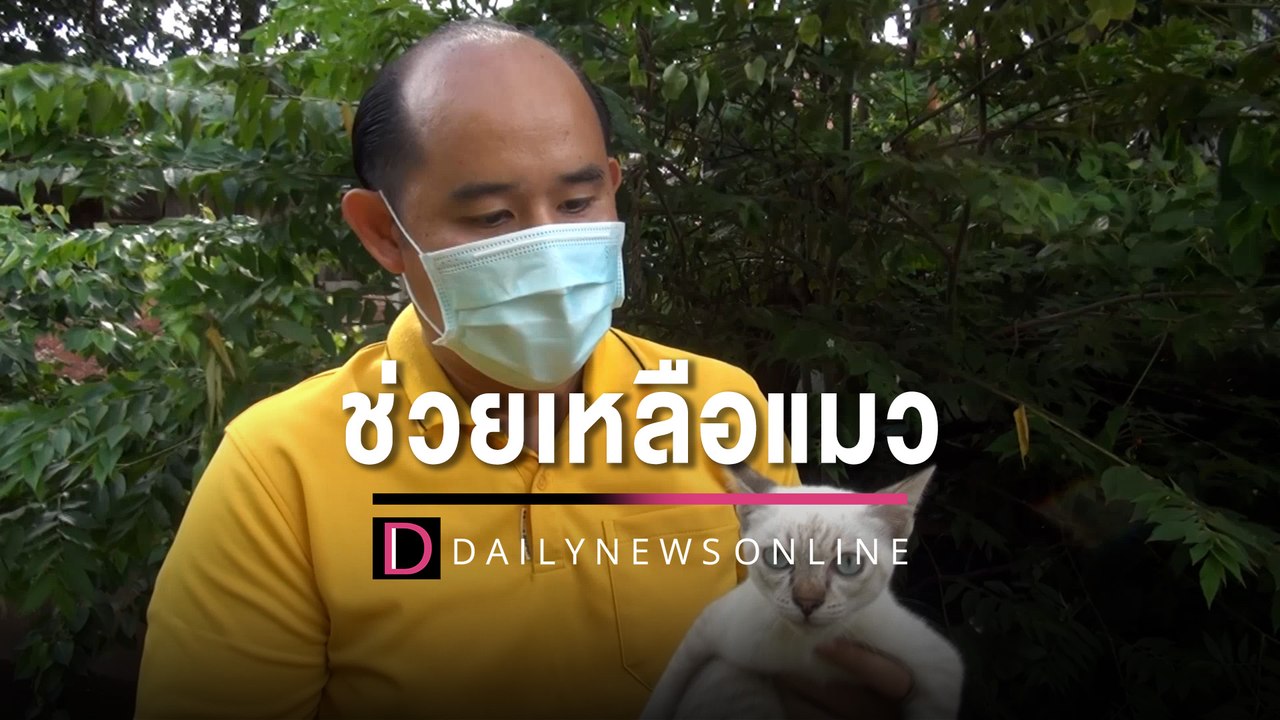 เสียงขอบคุณจากแมวน้อย กู้ภัยเข้าช่วยหลังติดข้างลำห้วย 1 วัน | HOTSHOT เดลินิวส์ 13/09/65