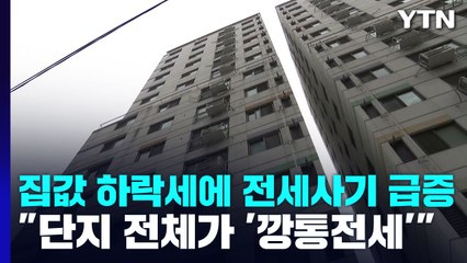 집값 하락세에 전세사기 급증..."단지 전체가 '깡통전세'" / YTN