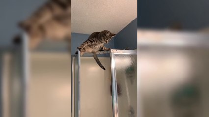 Try Not To Laugh - "FAILS INCOMING!"  Best Funny Videos Compilation 2022