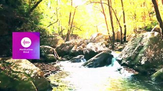 Meditation Music For Stress relief | 5 Minute Meditation