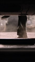 Rocky bhai new status attitude story new video