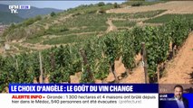 LE CHOIX D'ANGÈLE - Le goût du vin change avec le réchauffement climatique