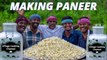 MAKING PANEER | Homemade Paneer making in Village | Traditional Paneer Butter Masala Gravy Recipe