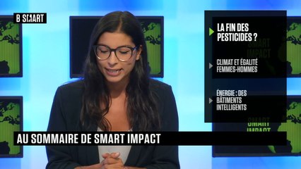 SMART IMPACT - Emission du mardi 13 septembre