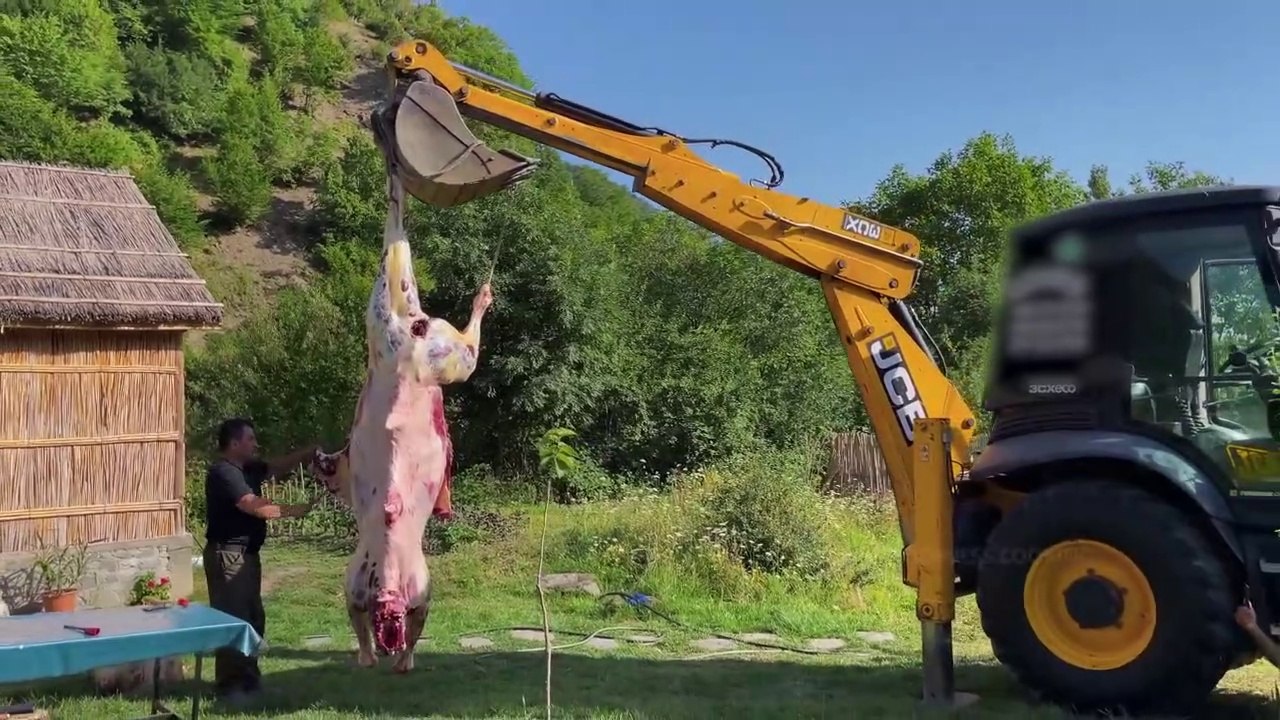 wild | Roasted A Whole Camel For A Holiday For The Whole Village! Can't Do Without An Excavator | Camel meat | Wilderness Cooking | wild cooking |Nature with cooking | village cooking | mountain view cooking | wildness cooking |