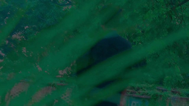 Nachawa Nachaniya | Shilpi raj | नचावा नचनिया #dance #Danceenjoy #dancevideo