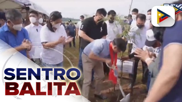 President Ferdinand R. Marcos Jr., pinangunahan ang nationwide simultaneous bamboo at tree planting activity sa San Mateo, Rizal