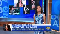 Demi Lovato Posts Unedited Bikini Pic With Epic Message