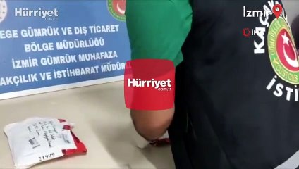 26 tüp tarantula cinsi örümcek ele geçirildi