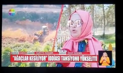 Yer: İstanbul! Ormanlık alandaki ağaç kesimi mahalleliyi sokağa döktü