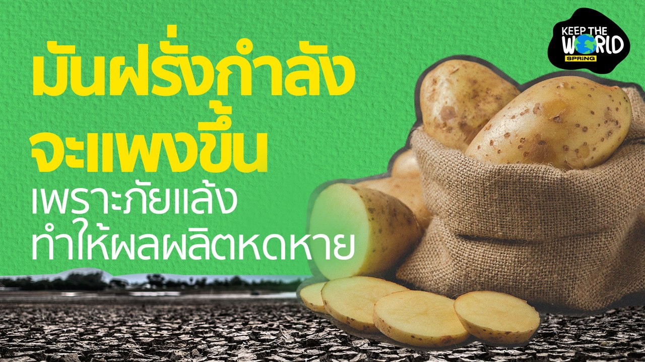 วิกฤตภัยแล้งอาจทำให้มันฝรั่งหายไป l KEEP THE WORLD