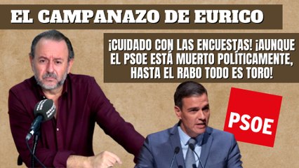 Eurico Campano: ¡Cuidado con las encuestas! Aunque el PSOE está 'muerto', hasta el rabo todo es toro