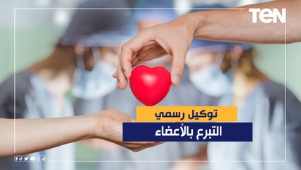 كواليس قصة أول مصرية توثق توكيل رسمي للتبرع بأعضائها بعد الوفاة