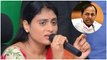 YS Sharmila Padayatra: CM KCR జాతీయపార్టీ పెడతారా? *Politics | Telugu OneIndia