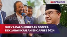 Surya Paloh Didesak Segera Deklarasikan Anies Capres 2024