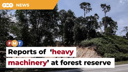 Work going on at forest reserve despite court order, NGO claims