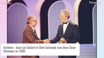 Jean-Luc Godard : Son histoire d'amour passionnée avec Anna Karina, éprouvée par un enfant mort-né