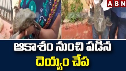 ఆకాశం నుంచి పడిన దెయ్యం చేప || Devil fish || ABN Telugu