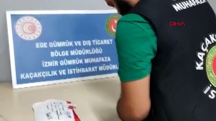 Posta yoluyla gönderilen 26 tüp canlı tarantula ele geçirildi