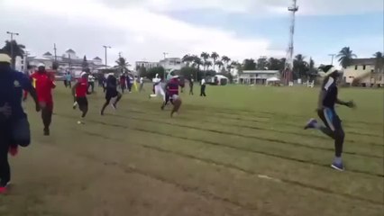 Nadie pensó que era una idea nefasta hasta que vieron el resultado