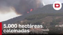 El incendio de Granada afecta a 5.000 hectáreas