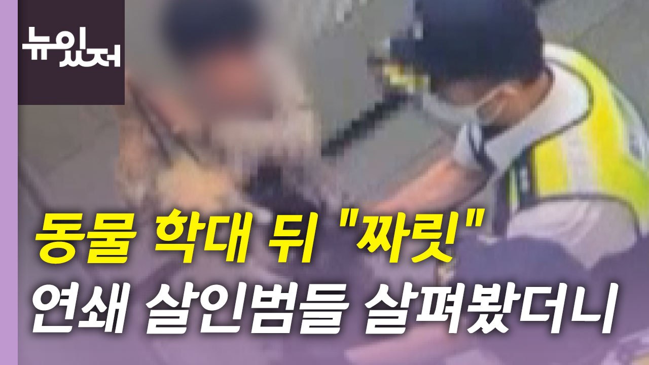 [뉴있저] 동물 학대 뒤 "짜릿"..."대인 범죄로 이어질 수도" / YTN