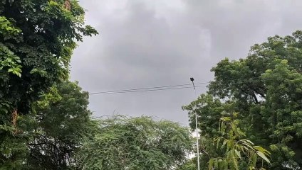 बूंदाबांदी से किसान मायूस