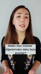 Neden Bazı İnsanlar Daha Sinirlidir?