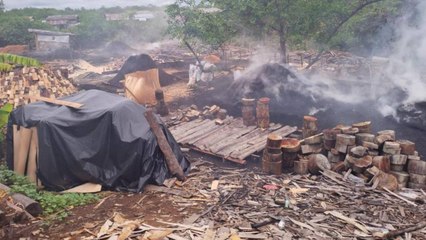 ¿Entidades gubernamentales de la Amazonía podrían ser cómplices de delitos de deforestación?