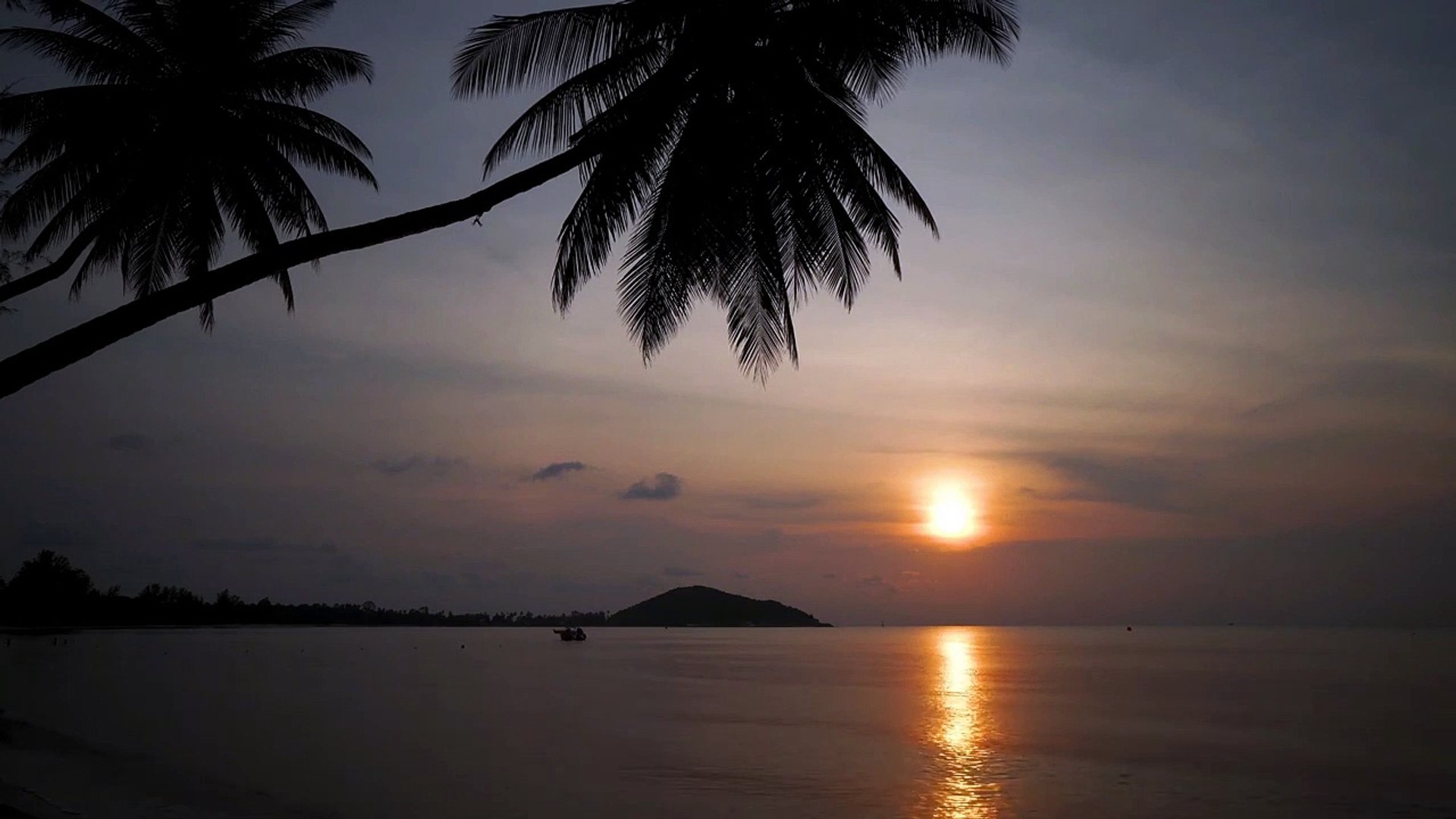 ⁣Nature sounds(relaxing waves sounds) - sunset
