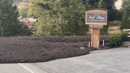 Mudflow surges down California road