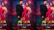 Adil Khan finally proposes to his girlfriend Rakhi Sawant