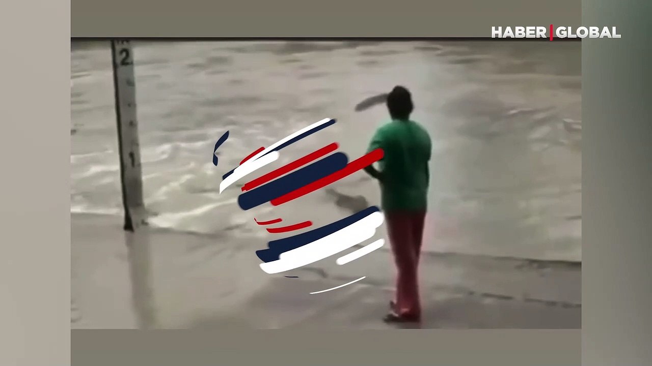 Anne terliği yiyen timsahın geri vites yapma anları güldürdü