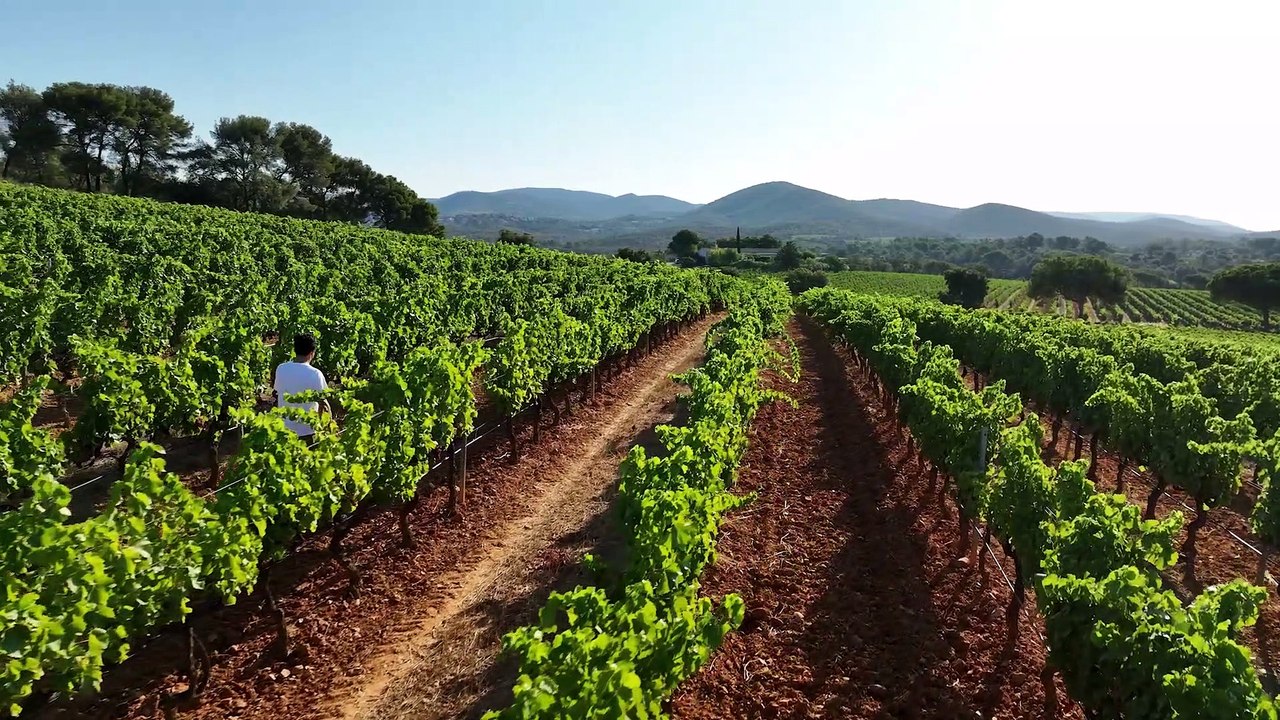Domaine Figuiere